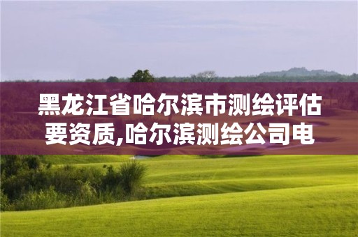 黑龙江省哈尔滨市测绘评估要资质,哈尔滨测绘公司电话 黑龙江省哈尔滨市测绘评估要资质,哈尔滨测绘公司电话