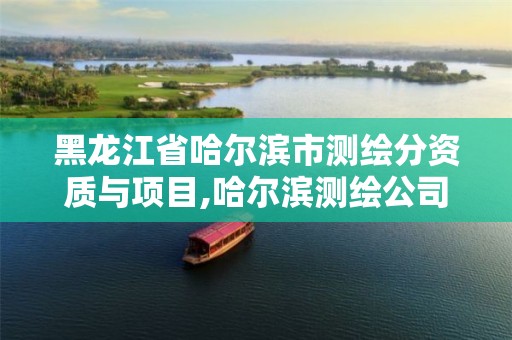 黑龙江省哈尔滨市测绘分资质与项目,哈尔滨测绘公司电话