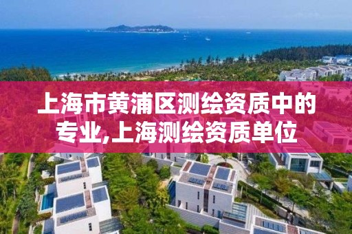 上海市黄浦区测绘资质中的专业,上海测绘资质单位 上海市黄浦区测绘资质中的专业,上海测绘资质单位
