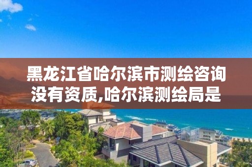 黑龙江省哈尔滨市测绘咨询没有资质,哈尔滨测绘局是干什么的 黑龙江省哈尔滨市测绘咨询没有资质,哈尔滨测绘局是干什么的