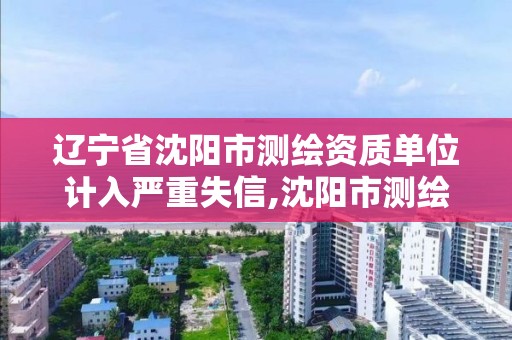 辽宁省沈阳市测绘资质单位计入严重失信,沈阳市测绘院是什么单位