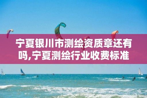 宁夏银川市测绘资质章还有吗,宁夏测绘行业收费标准