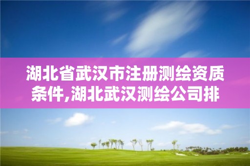 湖北省武汉市注册测绘资质条件,湖北武汉测绘公司排行榜