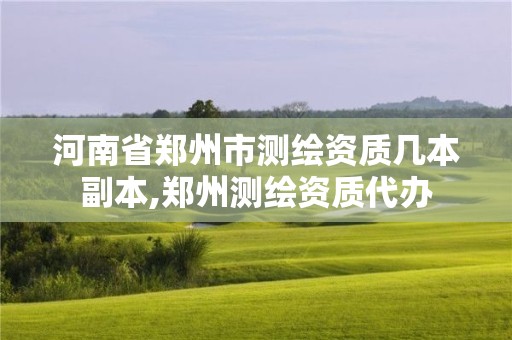 河南省郑州市测绘资质几本副本,郑州测绘资质代办 河南省郑州市测绘资质几本副本,郑州测绘资质代办