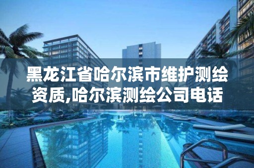 黑龙江省哈尔滨市维护测绘资质,哈尔滨测绘公司电话