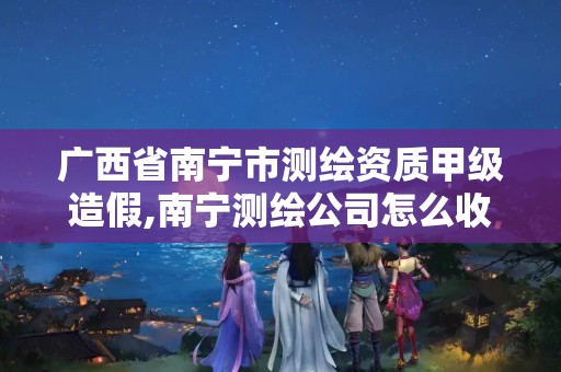 广西省南宁市测绘资质甲级造假,南宁测绘公司怎么收费标准