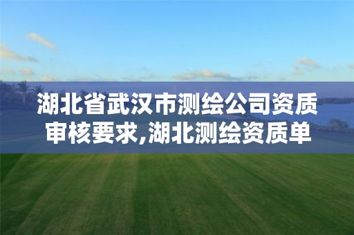 湖北省武汉市测绘公司资质审核要求,湖北测绘资质单位