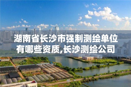 湖南省长沙市强制测绘单位有哪些资质,长沙测绘公司资质有哪家 湖南省长沙市强制测绘单位有哪些资质,长沙测绘公司资质有哪家