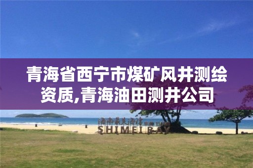 青海省西宁市煤矿风井测绘资质,青海油田测井公司 青海省西宁市煤矿风井测绘资质,青海油田测井公司