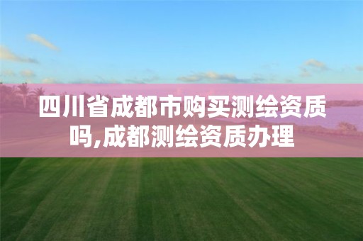 四川省成都市购买测绘资质吗,成都测绘资质办理