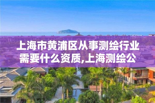 上海市黄浦区从事测绘行业需要什么资质,上海测绘公司多吗。