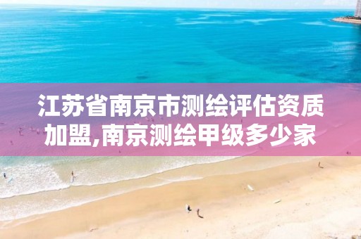 江苏省南京市测绘评估资质加盟,南京测绘甲级多少家