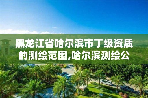 黑龙江省哈尔滨市丁级资质的测绘范围,哈尔滨测绘公司哪家好