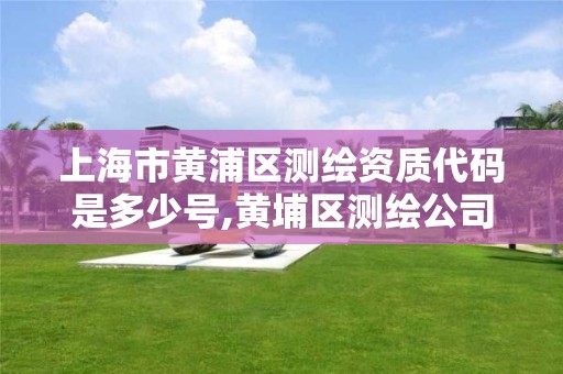 上海市黄浦区测绘资质代码是多少号,黄埔区测绘公司