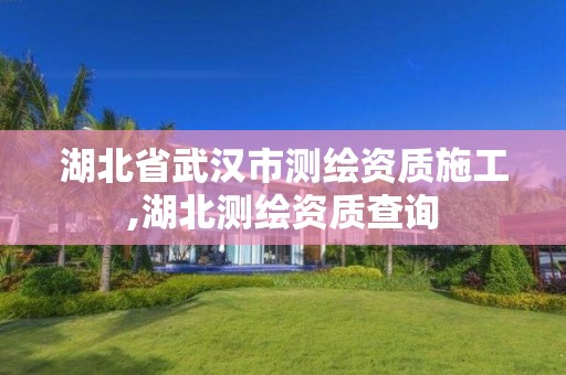 湖北省武汉市测绘资质施工,湖北测绘资质查询