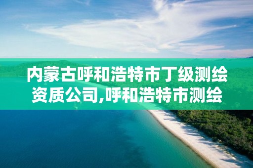 内蒙古呼和浩特市丁级测绘资质公司,呼和浩特市测绘局 内蒙古呼和浩特市丁级测绘资质公司,呼和浩特市测绘局