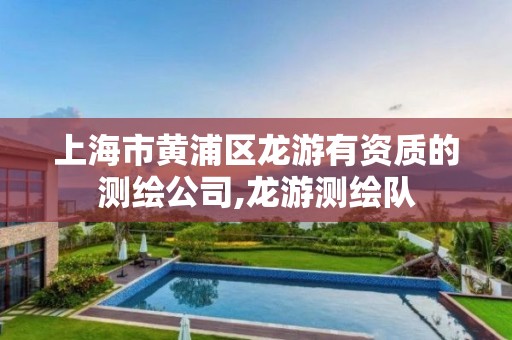 上海市黄浦区龙游有资质的测绘公司,龙游测绘队