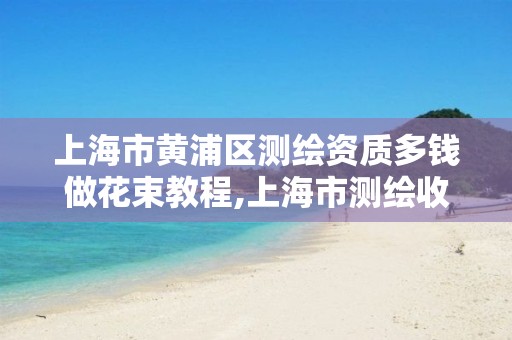 上海市黄浦区测绘资质多钱做花束教程,上海市测绘收费标准。