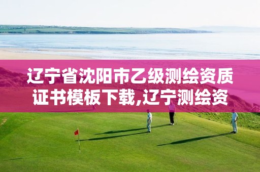 辽宁省沈阳市乙级测绘资质证书模板下载,辽宁测绘资质查询