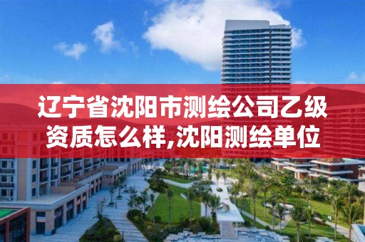 辽宁省沈阳市测绘公司乙级资质怎么样,沈阳测绘单位排名。