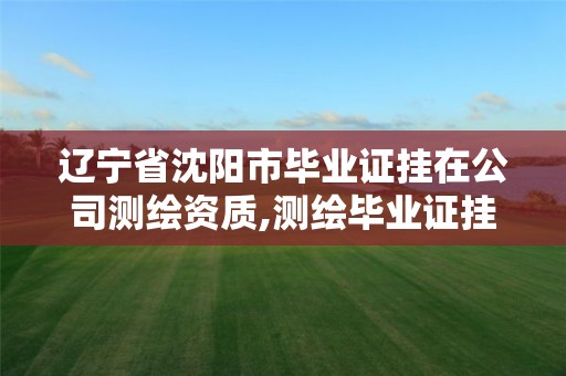 辽宁省沈阳市毕业证挂在公司测绘资质,测绘毕业证挂靠后果。