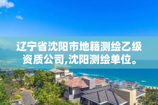 辽宁省沈阳市地籍测绘乙级资质公司,沈阳测绘单位。