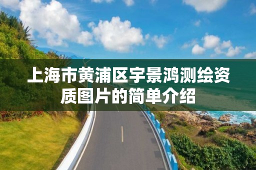 上海市黄浦区宇景鸿测绘资质图片的简单介绍
