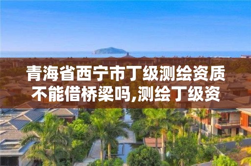 青海省西宁市丁级测绘资质不能借桥梁吗,测绘丁级资质条件。
