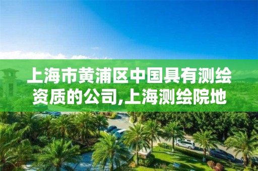 上海市黄浦区中国具有测绘资质的公司,上海测绘院地址浦东 上海市黄浦区中国具有测绘资质的公司,上海测绘院地址浦东