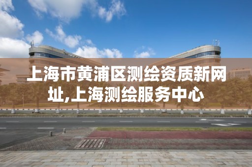 上海市黄浦区测绘资质新网址,上海测绘服务中心