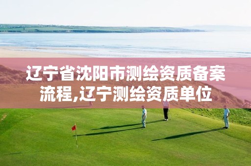 辽宁省沈阳市测绘资质备案流程,辽宁测绘资质单位