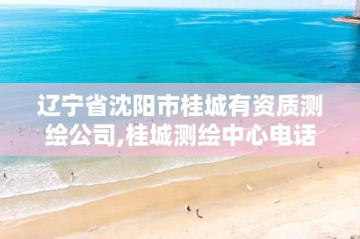 辽宁省沈阳市桂城有资质测绘公司,桂城测绘中心电话。