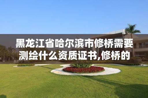 黑龙江省哈尔滨市修桥需要测绘什么资质证书,修桥的资质都有哪些。