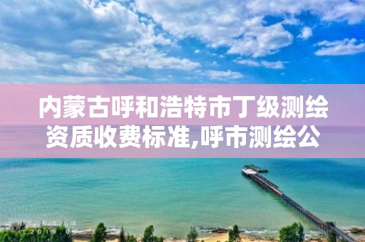 内蒙古呼和浩特市丁级测绘资质收费标准,呼市测绘公司