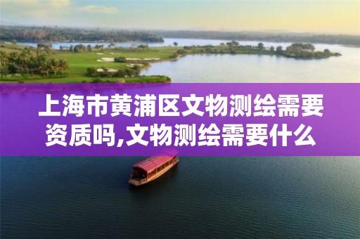 上海市黄浦区文物测绘需要资质吗,文物测绘需要什么资质