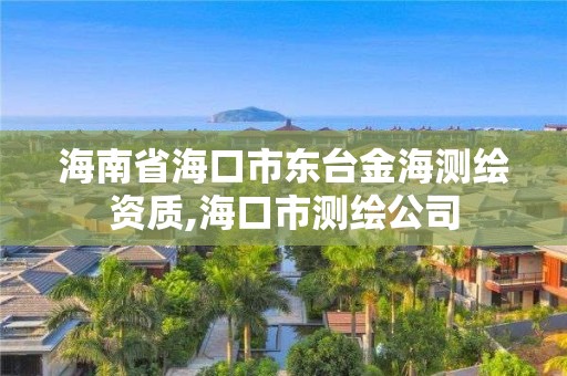 海南省海口市东台金海测绘资质,海口市测绘公司