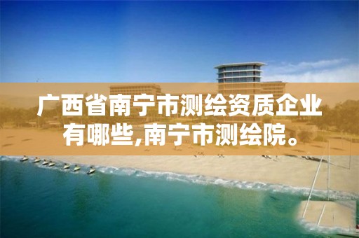 广西省南宁市测绘资质企业有哪些,南宁市测绘院。