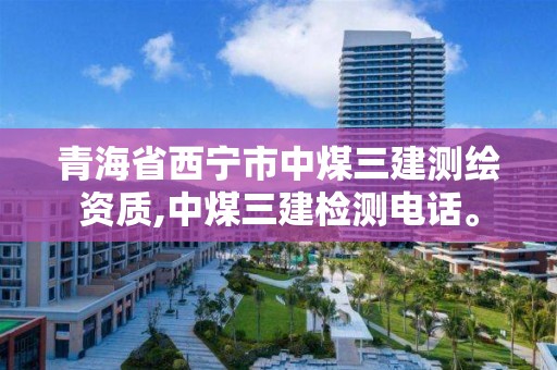 青海省西宁市中煤三建测绘资质,中煤三建检测电话。