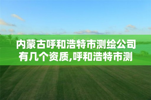内蒙古呼和浩特市测绘公司有几个资质,呼和浩特市测绘仪器店