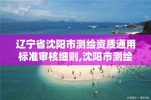 辽宁省沈阳市测绘资质通用标准审核细则,沈阳市测绘局官网