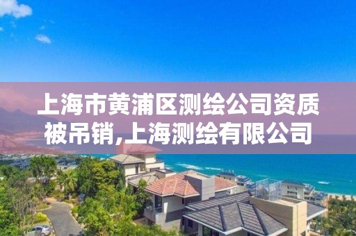 上海市黄浦区测绘公司资质被吊销,上海测绘有限公司