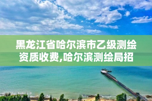 黑龙江省哈尔滨市乙级测绘资质收费,哈尔滨测绘局招聘 黑龙江省哈尔滨市乙级测绘资质收费,哈尔滨测绘局招聘