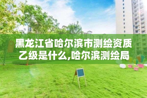 黑龙江省哈尔滨市测绘资质乙级是什么,哈尔滨测绘局是干什么的