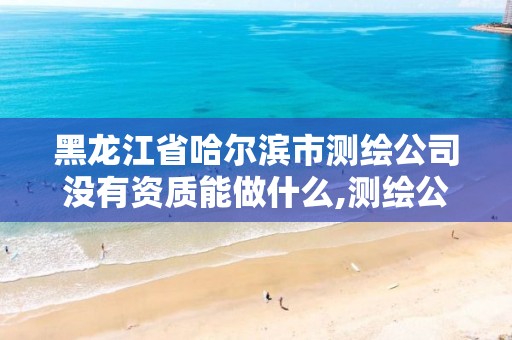 黑龙江省哈尔滨市测绘公司没有资质能做什么,测绘公司的资质去哪里申请。 黑龙江省哈尔滨市测绘公司没有资质能做什么,测绘公司的资质去哪里申请。