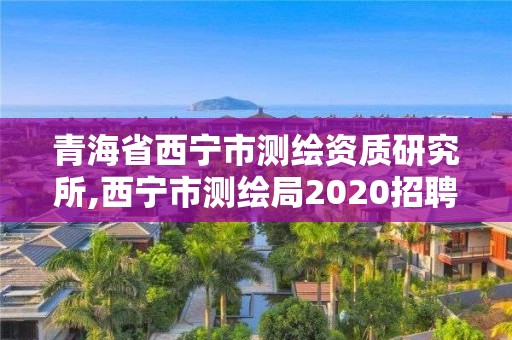 青海省西宁市测绘资质研究所,西宁市测绘局2020招聘