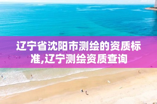 辽宁省沈阳市测绘的资质标准,辽宁测绘资质查询