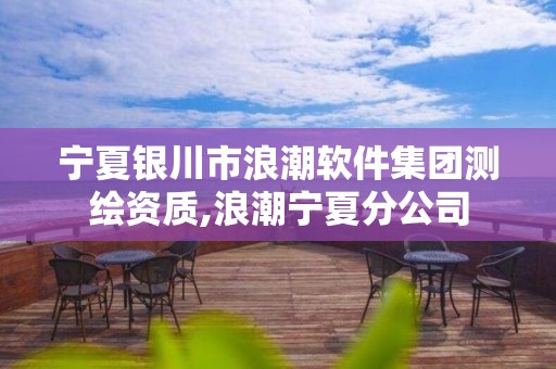 宁夏银川市浪潮软件集团测绘资质,浪潮宁夏分公司