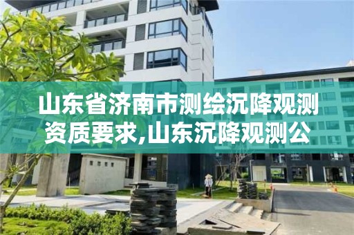 山东省济南市测绘沉降观测资质要求,山东沉降观测公司