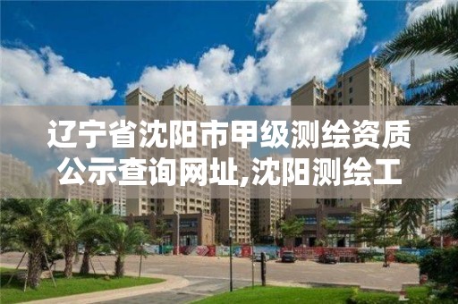 辽宁省沈阳市甲级测绘资质公示查询网址,沈阳测绘工程