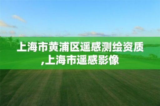 上海市黄浦区遥感测绘资质,上海市遥感影像